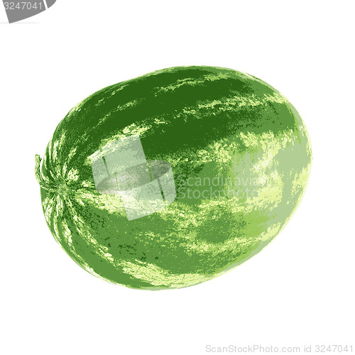 Image of Ripe watermelon isolated on white background. illustratio