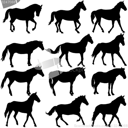 Image of Set  silhouette of horse. illustration.