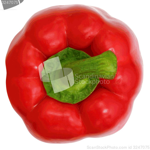 Image of Red sweet  bell pepper isolated on white background. 