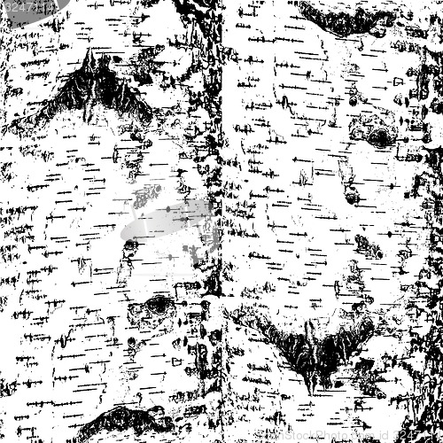 Image of bark of birch in the cracks texture. illustration.