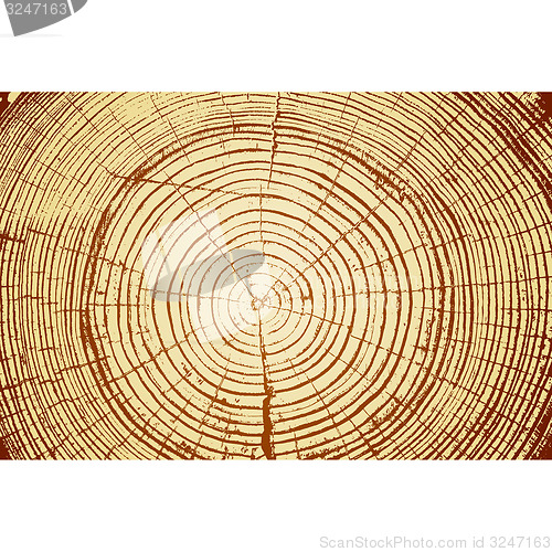 Image of Tree rings saw cut tree trunk background. illustration.