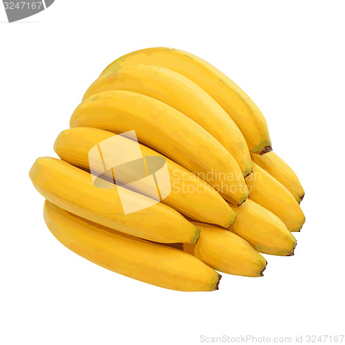 Image of Bunch of bananas isolated on white background. illustrati
