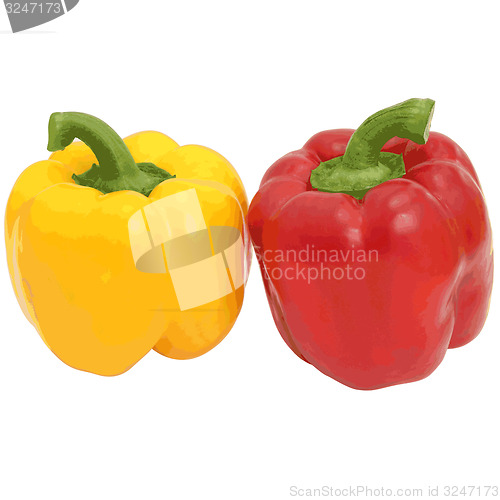 Image of Red and yellow sweet  bell pepper isolated on white background. 