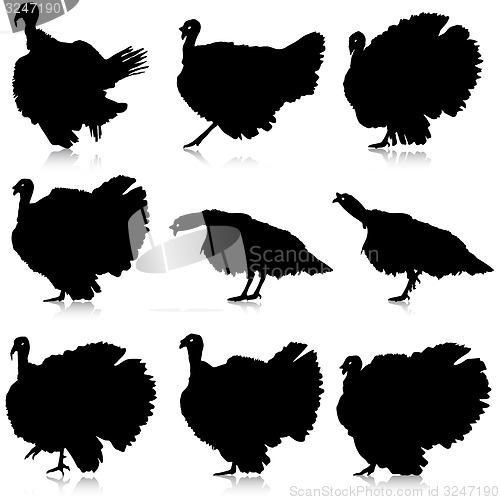 Image of Silhouettes of turkeys. illustration.