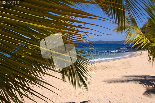 Image of rocks  palm lagoon and coastline