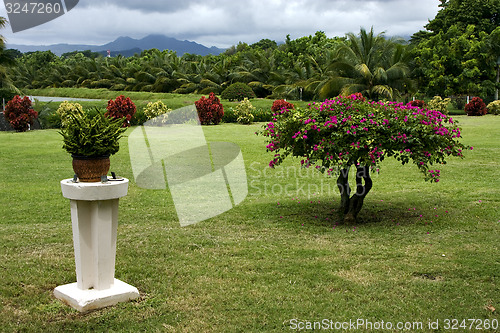 Image of  garden in  beau plan 