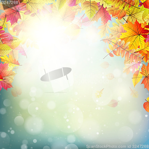 Image of Autumn abstract background. EPS 10