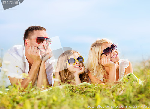 Image of happy family with blue sky and green grass