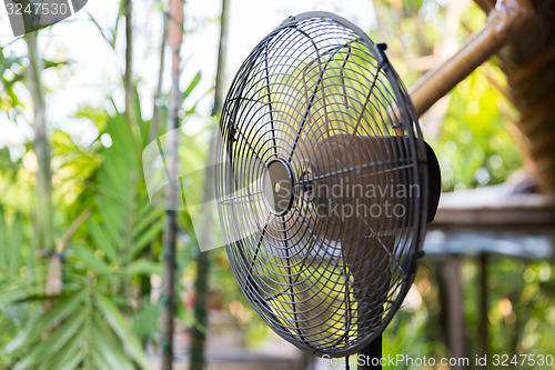 Image of close up of fan outdoors