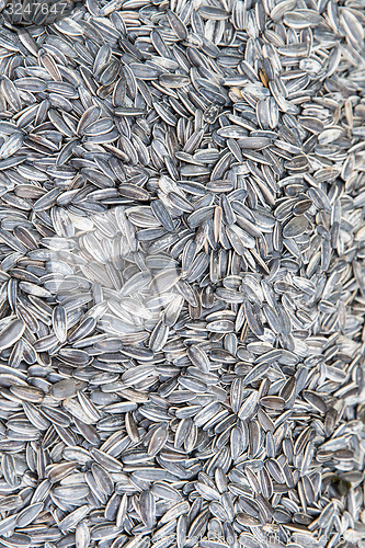 Image of sunflower seeds texture