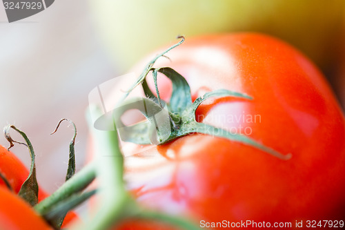 Image of close up of ripe juicy red tomatoes