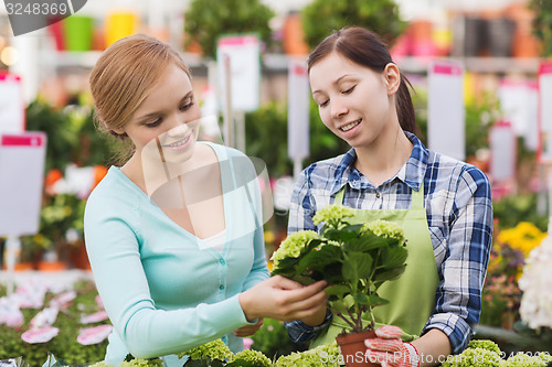 Image of happy women choosing flowers in greenhouse