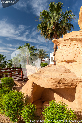 Image of The tropical garden in Egypt.