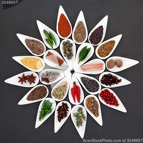 Image of Herbs and Spices