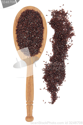 Image of Psyllium Seed