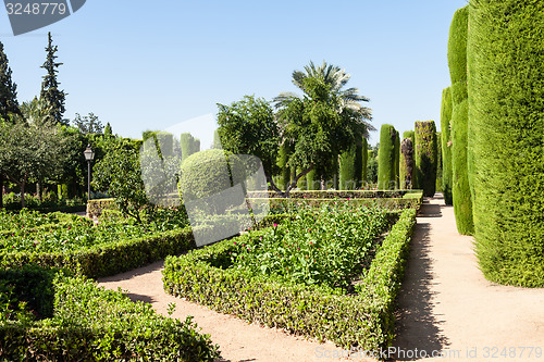 Image of Italian Garden