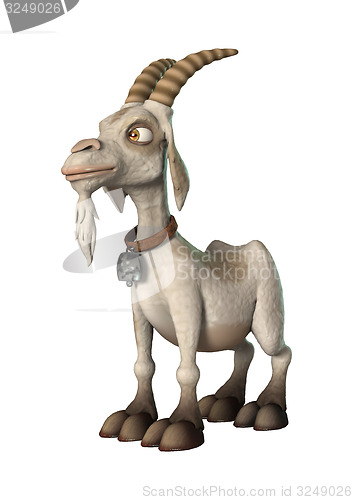 Image of Goat