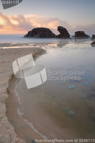 Image of Blue Blubber jelliyfish at sunrise