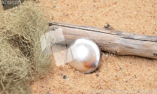 Image of Pearl on beach
