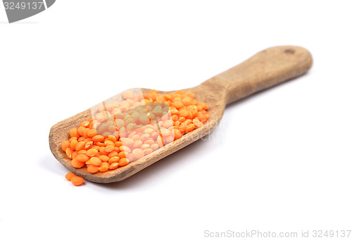 Image of Red lentils on shovel