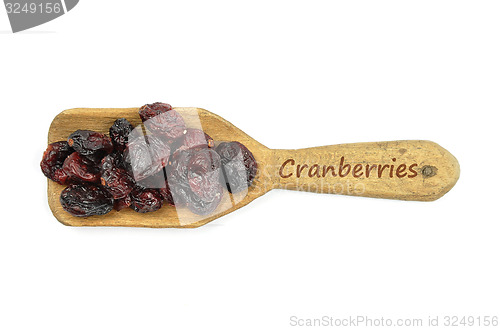 Image of Dried cranberries on shovel