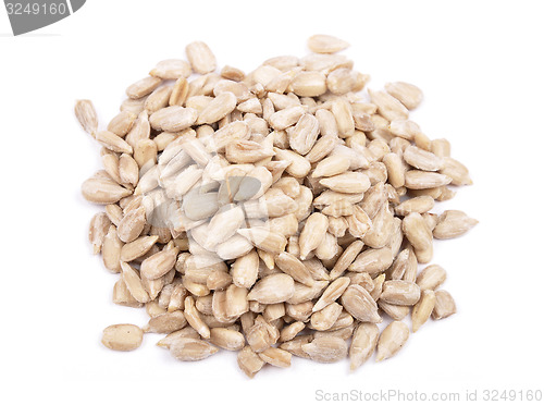 Image of Sunflower seeds 