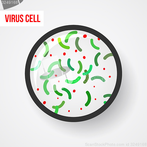 Image of Anatomy of a bacterial cell