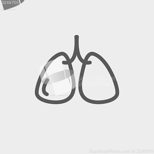 Image of Lungs thin line icon