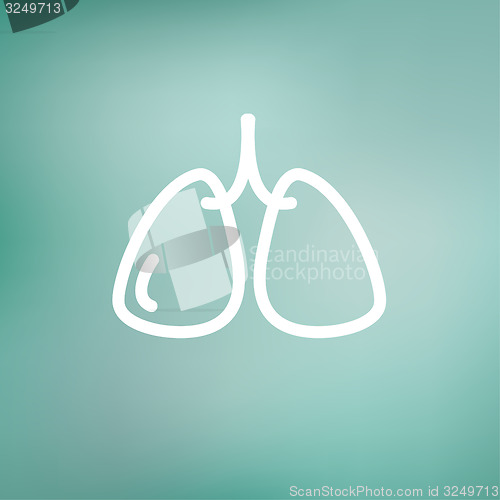 Image of Lungs thin line icon