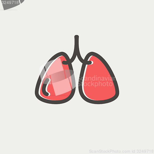 Image of Lungs thin line icon