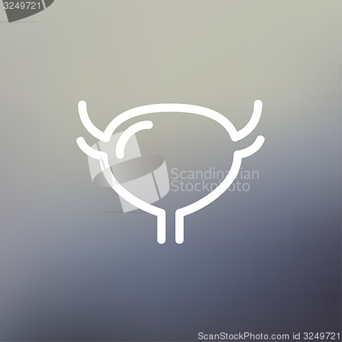 Image of Uterus and ovaries thin line icon