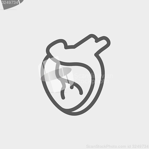 Image of Human heart thin line icon