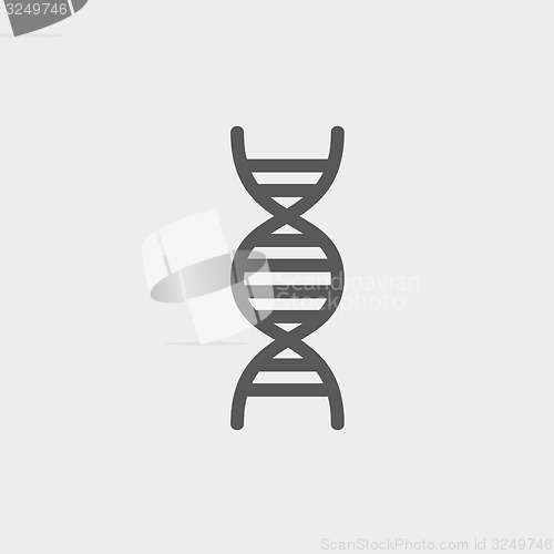 Image of DNA thin line icon