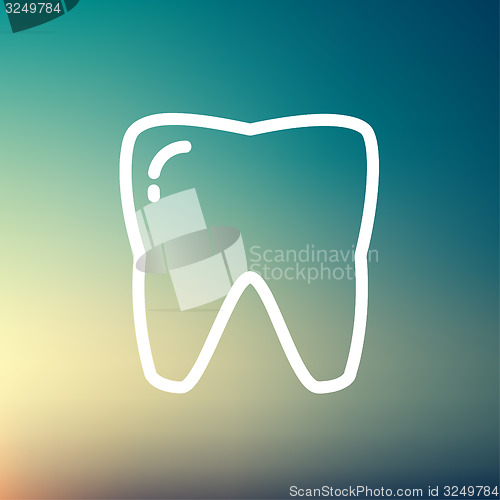 Image of Tooth thin line icon