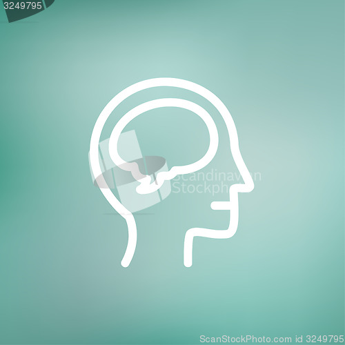 Image of Human head with brain thin line icon