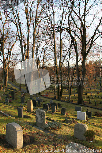 Image of Churchyard