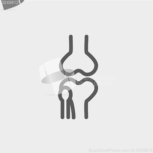 Image of Knee joint thin line icon