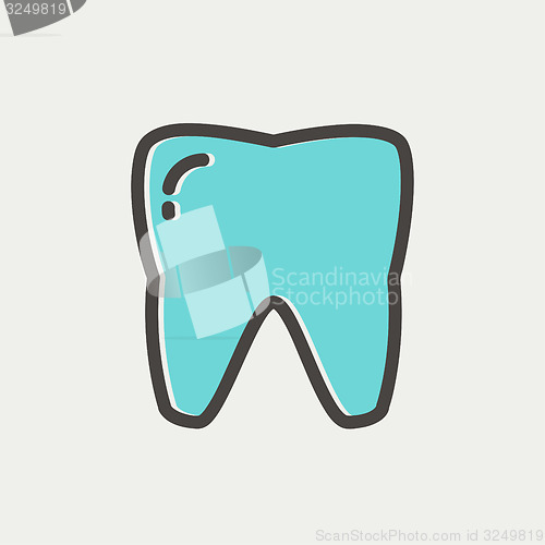 Image of Tooth thin line icon