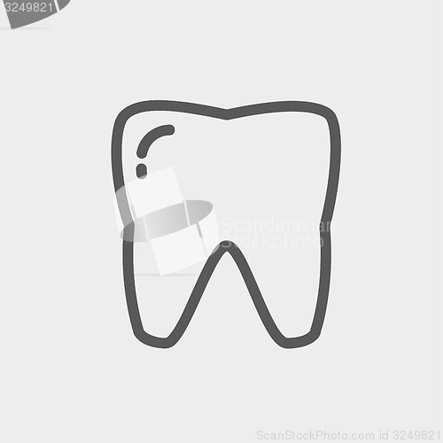 Image of Tooth thin line icon