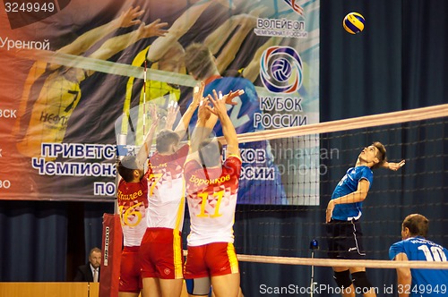 Image of Competition volleyball teams