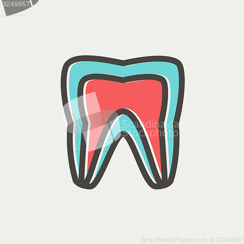 Image of Molar tooth thin line icon