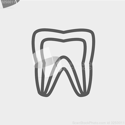 Image of Molar tooth thin line icon