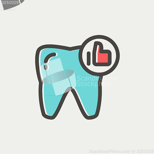 Image of Healthy tooth thin line icon