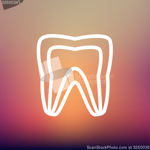 Image of Molar tooth thin line icon