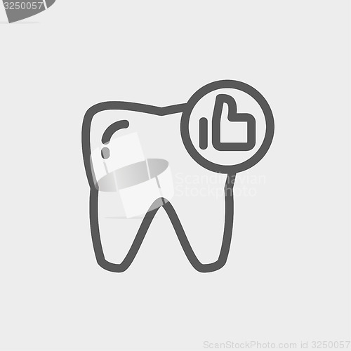 Image of Healthy tooth thin line icon