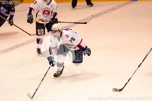 Image of Hockey with the puck 