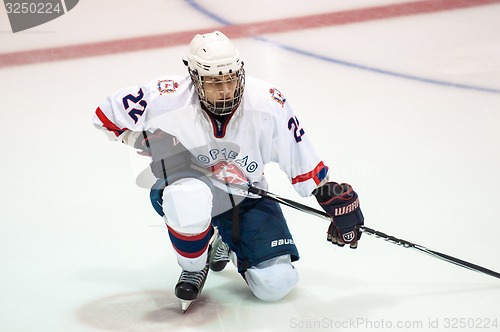 Image of Hockey with the puck. 