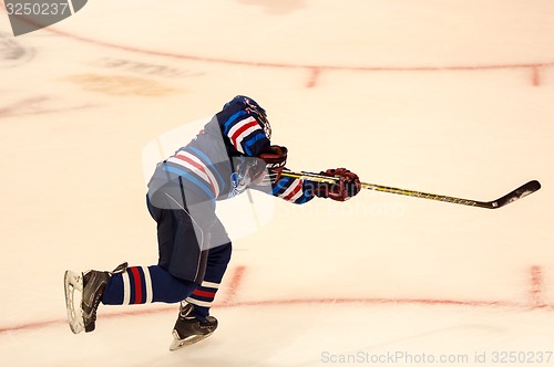 Image of Hockey with the puck 