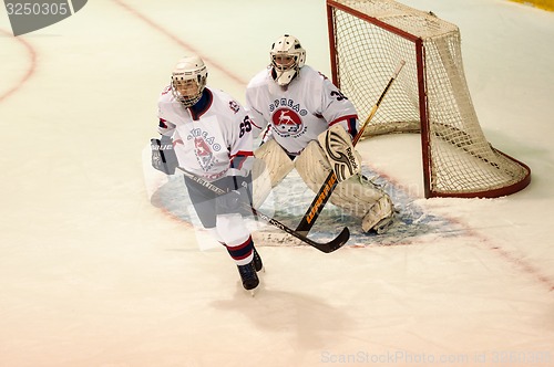 Image of Hockey with the puck 