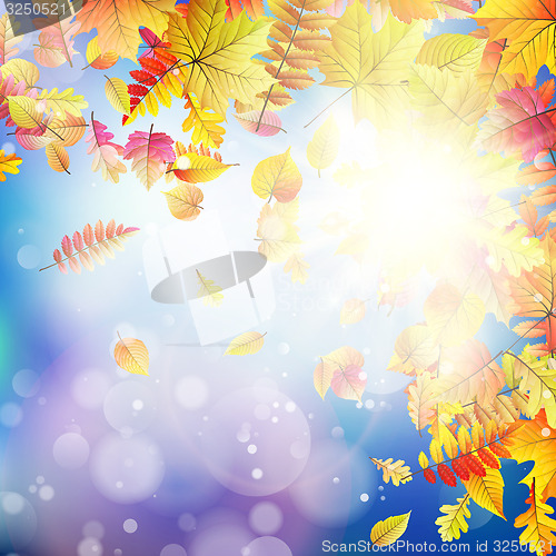 Image of Autumnal natural bokeh with sun. EPS 10